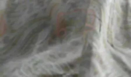Anal UND ngemut kontol crot mega