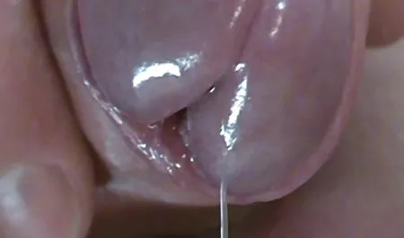 Milf brandi love de ngulum kontol sampe muncrat Nuevo